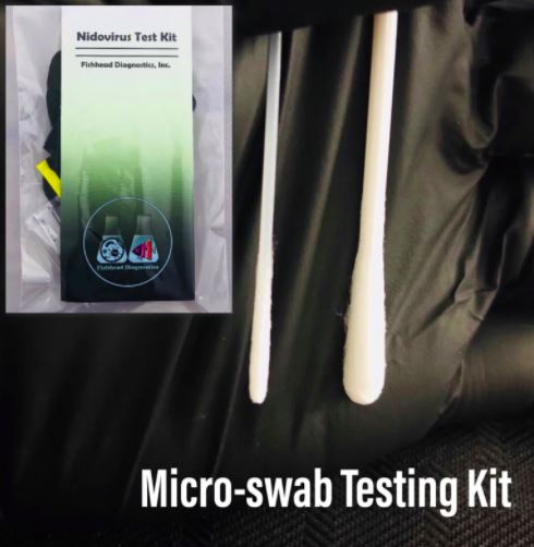 Micro-Swab Nidovirus Testing Kit